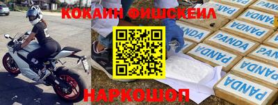 сатива Моздок
