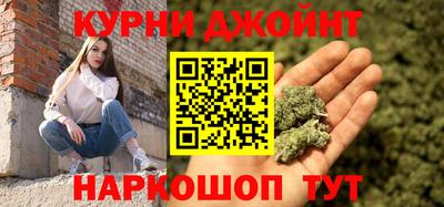 сатива Моздок
