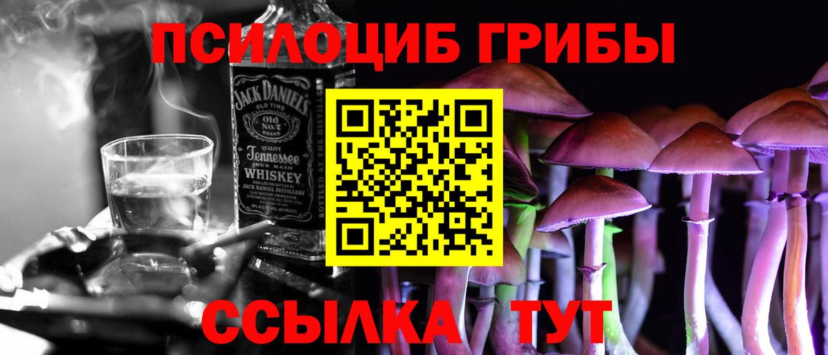 наркотики  Псилоцибиновые грибы прущие грибы  Псилоцибиновые грибы Psilocybe  Вход с VPN  Ставрополь 